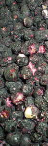 Heidelbeeren gefriergetrocknet BIO naturbelassen