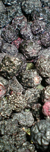 Aronia Beeren getrocknet BIO naturbelassen