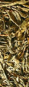Formosa Choisest Oolong