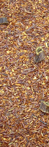 Rooibos Vanille Bio