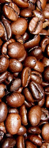 Kaffee Costa Rica "Tarrazu"